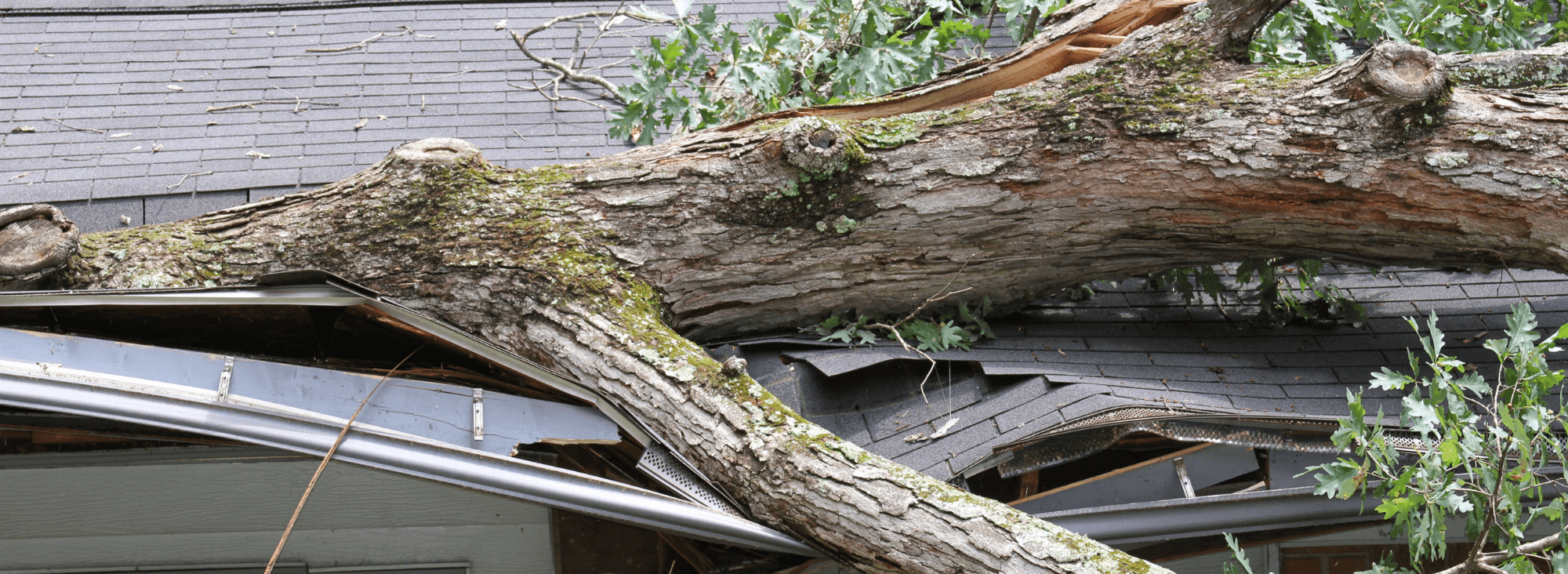 Storm Damage Restoration in Wilmington, NC